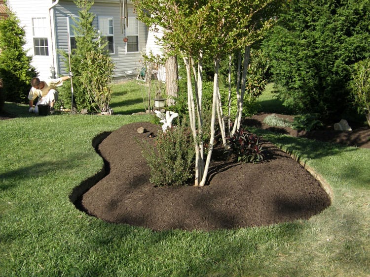 Bed Edges Mulch Masters