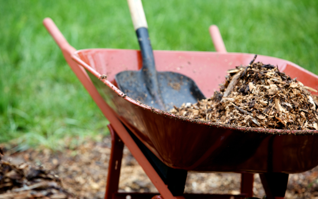 Is Mulch Installation In June A Good Idea?